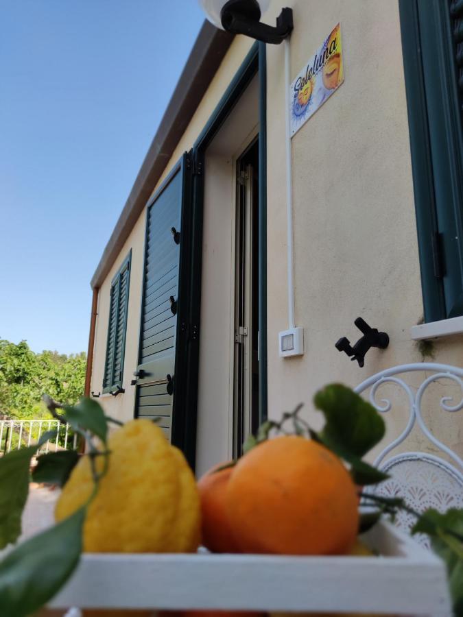 Villa Martino Apartments Cefalù Eksteriør billede