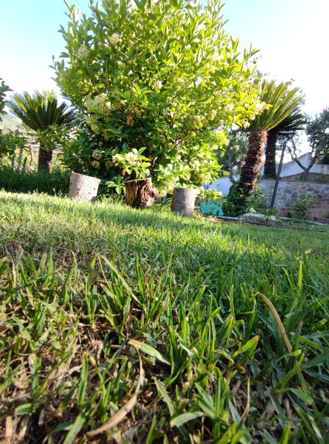 Villa Martino Apartments Cefalù Eksteriør billede